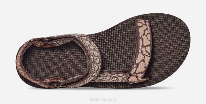 midform universal mujer XV6622 azúcar de arce gémina Teva