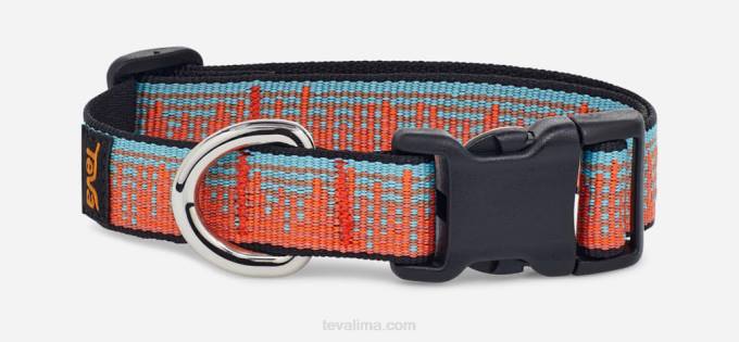 collar de perro unisex 19mm XV66215 atmósfera zanahoria/espejismo azul Teva