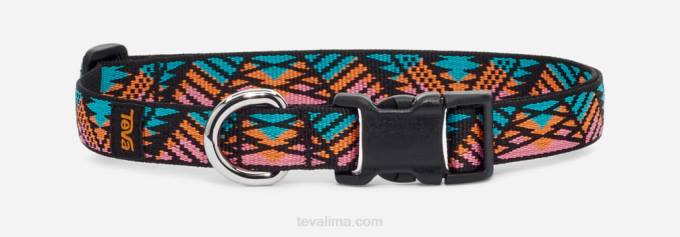 collar de perro unisex 19mm XV66219 limonada rosa boomerang Teva