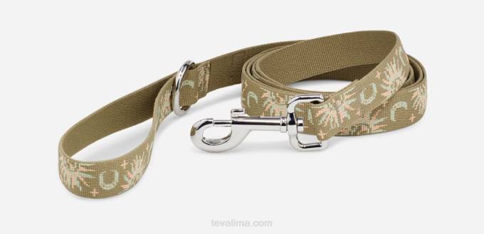 correa de perro 25mm XV66211 aloe sol y luna Teva