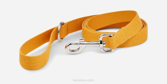 correa de perro 25mm XV66212 girasol texturizado teva Teva